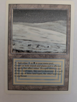 Tundra Revised MTG NM free shipping with tracking - Image 1