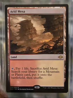 Arid Mesa/ Modern Horizons 2 Regular - Image 1