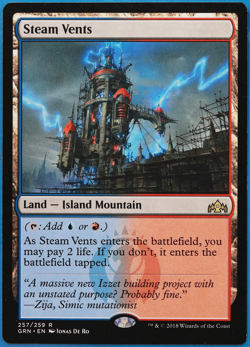 Steam Vents Guilds of Ravnica NM Land Rare MAGIC MTG CARD (ID# 504265) ABUGames - Image 1
