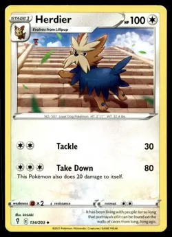 Herdier SWSH07: Evolving Skies 134/203 LP Pokemon TCG |Buy10 Get10 Free - Image 1