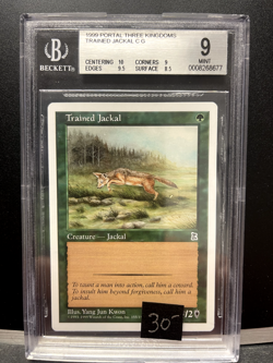 Graded Trained Jackal BGS Portal Three Kingdoms Magic the Gathering Beckett 9 - Image 1