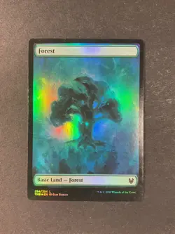 Forest (254) - Theros Beyond Death - Magic the Gathering - MTG - Foil - Image 1