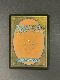 Forest (254) - Theros Beyond Death - Magic the Gathering - MTG - Foil - Image 2
