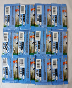 12 (Twelve ) Magic The Gathering Bloomburrow Play Booster Packs - New / Unopen - Image 3