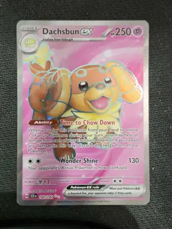 DACHSBUN EX - 160/142 - STELLAR CROWN - ULTRA RARE - POKEMON CARD - Image 1