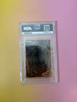 PSA 10 Rainbow Dark Dragon PTDN-EN003 Secret Rare 1st Edition *9839 Yugioh - Image 2