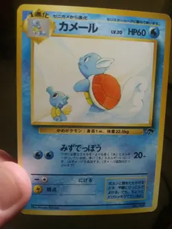 NM Wartortle No. 008 Japanese Southern Islands Pokemon Card - Image 1
