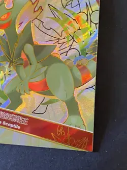 NON TCG Chinese Pokemon Elf Eif Origin Collection 2.0 MR Mega Sceptile - Image 4