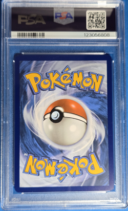 PSA 10 Gem Mint 2023 Pokemon ~ Squirtle ~ MEW EN 151 Illustration Rare #170 - Image 2