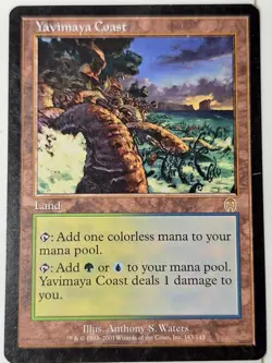 Yavimaya Coast - Apocalypse - Magic the Gathering MTG Nice! - Image 1