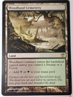 Woodland Cemetery - Innistrad - Magic the Gathering MTG Nice! - Image 1