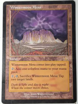 Wintermoon Mesa - Prophecy - Magic the Gathering MTG Nice! - Image 1