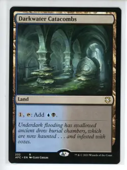 DARKWATER CATACOMBS Forgotten Realms Commander #232 AFC(NM+)(MTG) - Image 1