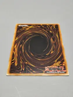 Yugioh Ash Blossom & Joyous Spring SDBT-EN014 Common 1st Ed NM - Image 2
