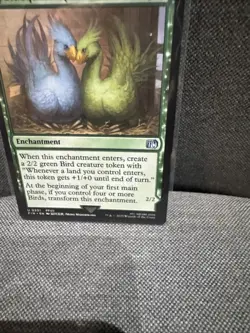 Sidequest: Raise a Chocobo Final Fantasy Regular - Image 4