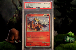 Pokemon Card 2010 Entei Promo HGSS20 PSA 5 - Image 1