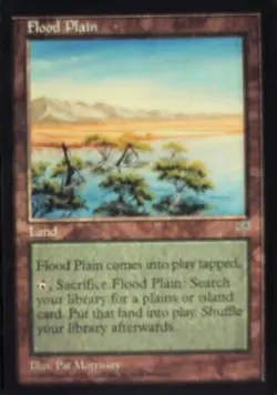 Flood Plain - Mirage: #326, Magic: The Gathering Nm R136 - Image 1