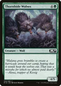 Thornhide Wolves 204 M19 MTG Green Common Murphy 2018 Creature Wolf EN - Image 1