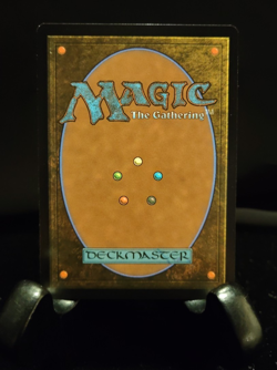 Parallel Lives - 0036 - M - Borderless - Non-Foil - MTG Spider-Man - NM - Image 2