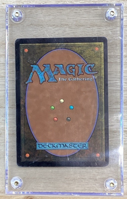 MTG Card - Seedborn Muse - Legions 138/145 - Image 2