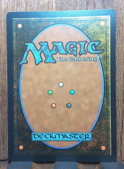 MTG Don't Move ( FOIL Borderless ) Universes Beyond Jurassic World Collection NM - Image 3