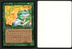 ***FBB Chinese Verduran Enchantress Artist Proof Signed** MTG 4th Dameon Willich - Image 1