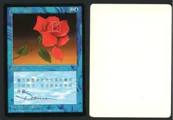 ***FBB Chinese Mana Short Artist Proof Signed*** MTG 4th Edition Dameon Willich - Image 1