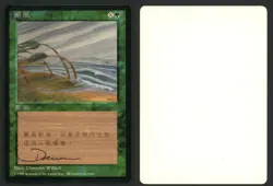 ***FBB Chinese Hurricane Artist Proof Signed*** MTG 4th Edition Dameon Willich - Image 1