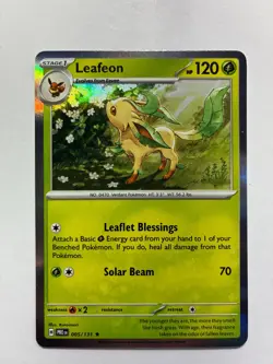 Eevee Evolution Pokemon Card Gift Set - Includes Eevee & Leafeon Ready-to-Gift - Image 3