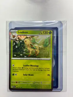 Eevee Evolution Pokemon Card Gift Set - Includes Eevee & Leafeon Ready-to-Gift - Image 5