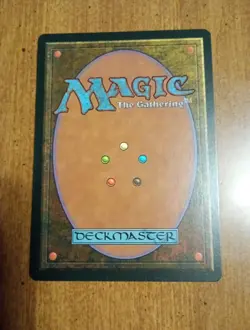 1994 Magic: The Gathering - Fallen Empires - RAINBOW VALE - Rare Land - NM - Image 2