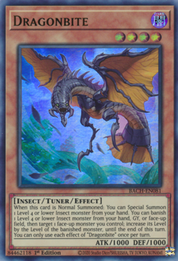 Dragonbite - BACH-EN081 - Ultra Rare - 1st Edition Near Mint Yugioh! Card - Image 1