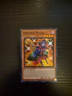 Yugioh Doom of Dimensions - Vengeful Witch - Super Rare - DOOD-EN004 - Image 1