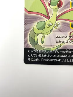 LP Pokemon Scrap Champion Flygon (Hoenn Region Pokemon No. 17 ORAS JAPAN EDITION - Image 4