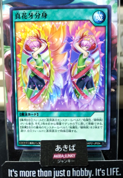 True Shadow Flower Clone Yugioh RD/KP21-JP054 Rush Duel Konami Yu-Gi-Oh JAPAN - Image 1
