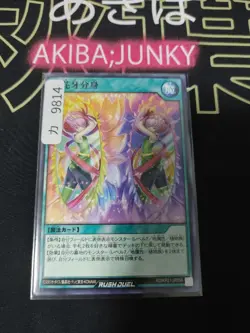True Shadow Flower Clone Yugioh RD/KP21-JP054 Rush Duel Konami Yu-Gi-Oh JAPAN - Image 4
