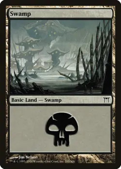 Swamp #295 2x FOIL CHK MTG Champions of Kamigawa Basic Land NM black - Image 1