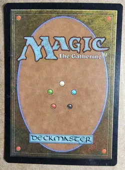 MTG Visions - Suleiman's Legacy - VG - Magic the Gathering - Free Shipping - Image 2