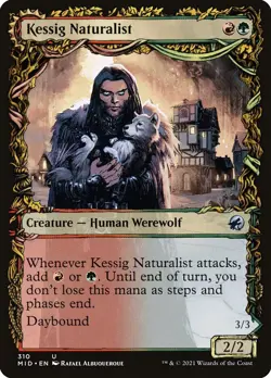 Kessig Naturalist // Lord of the Ulvenwald Foil Showcase Midnight Hunt MTG - Image 1