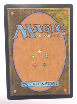 Bedrock Tortoise 176 The Lost Caverns of Ixalan MTG Magic the Gathering NM - Image 2