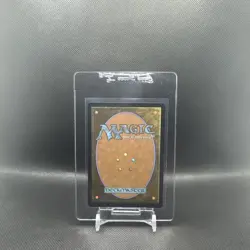 MTG Multiversal Passage Borderless - Marvel's Spider-Man #206 - Image 2