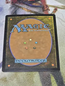 Argothian Enchantress Eternal Masters Regular - Image 2