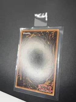 Ghost Rare Black Rose Dragon 1st Ed Signed By Erica Schroeder - Image 5