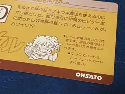 HUNTER×HUNTER Palad D Hell Rager PP Card Trading Card Near - Image 2