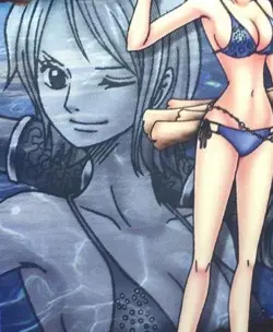 One Piece Nami Trading Card 2010 NM Collection Card - Image 4