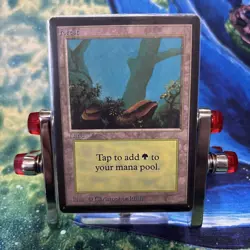 MTG Forest LEB Basic Land Beta Rare NM Condition Single - Image 2