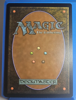 MTG Secret Lair - Coat of Arms - Borderless Rainbow Foil - R 1712 SLD - MiNT - Image 4
