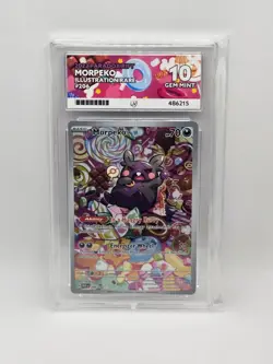 ACE 10 Morpeko 206/182 Paradox Rift Illustration Rare Pokemon Card - Gem Mint - Image 1