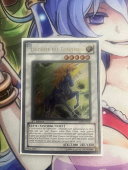 THUNDER UNICORN FRENCH ULTIMATE RARE 1ST DREV-EN040 FR040 NEAR MINT YUGIOH - Image 1