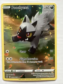 2023 Pokemon Poochyena GG33/GG70 Ultra Rare Holo SWSH Crown Zenith NM 170 - Image 1
